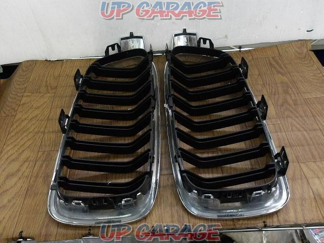 Other BMWs
Kidney grill-04