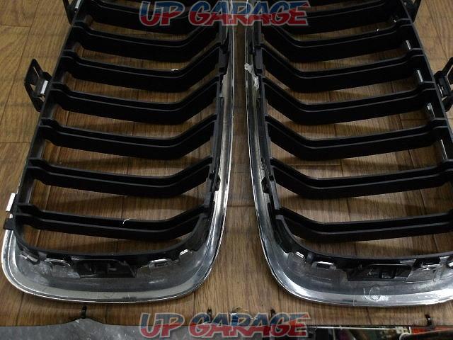 Other BMWs
Kidney grill-06