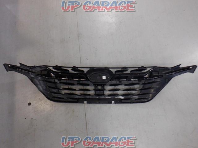 Pleiades
Genuine front grille-05
