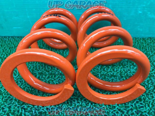 MAQS
Series winding spring-04