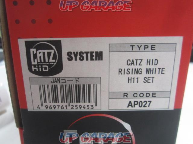 CATZ
RISING
WHITE
H11
SETAP027-03